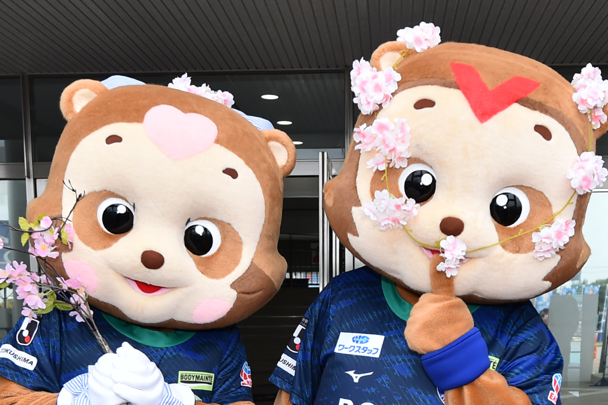 ヴォルタくん