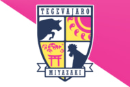 テゲバジャーロ宮崎