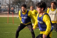 柏レイソル　細谷真大