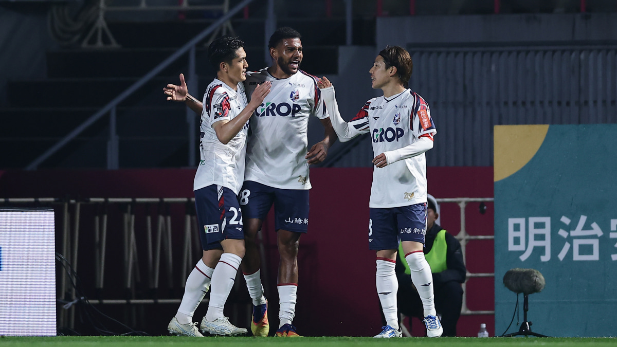 同点弾を喜ぶファジアーノ岡山